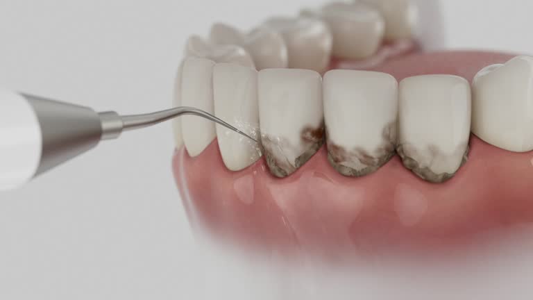 Reliable Dental contractor in Loyola, CA by Dentist Open Now